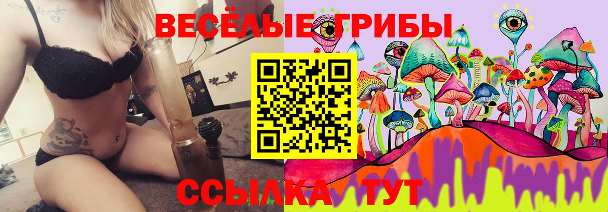 Галлюциногенные грибы MAGIC MUSHROOMS  Вход с VPN  Гусь-Хрустальный  Псилоцибиновые грибы мухоморы 
